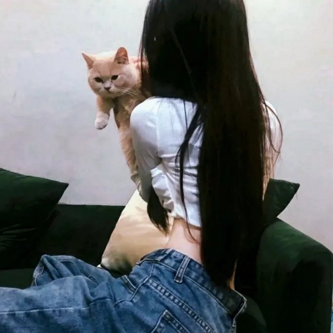 安吉拉的灰烬